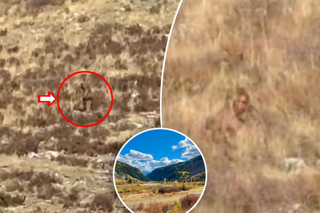 Bigfoot ‘spotted’ in ColoradoÂ in broad daylight â and it’s all on camera: ‘We’re convinced’